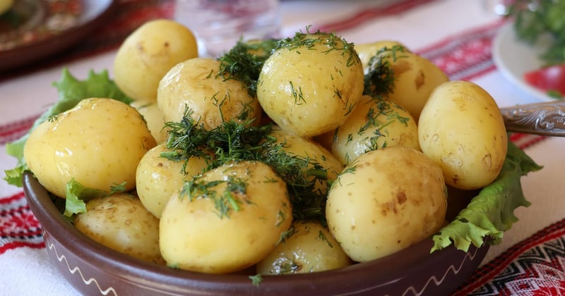 Gratin de pommes de terre simple pour le dîner : prêt en 10 minutes