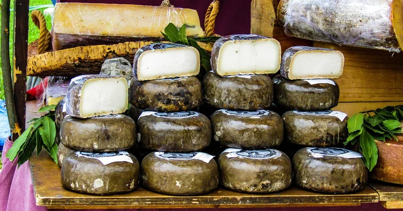 Bien choisir son chèvre : bûche, frais, ou les deux